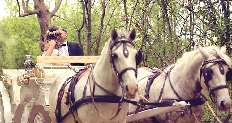 馬車演出ができる結婚式場特集 費用相場や魅力 人気の結婚式場ランキングを紹介 ウエディングパーク