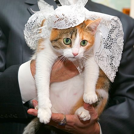 ペットと一緒の結婚式ができる結婚式場特集 費用相場や魅力 人気の結婚式場ランキングを紹介 ウエディングパーク